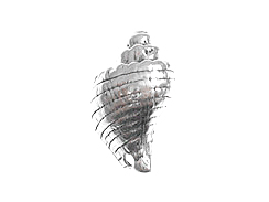Sterling Silver Conch Shell Charm 