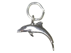 Sterling Silver Dolphin Charm with Jumpring