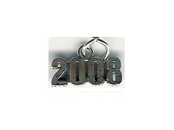 Sterling Silver Year 2008 Charm 