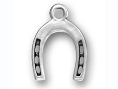 Sterling Silver Large Horseshoe charm  with Jumpring