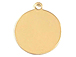 10mm Round Gold-Filled Disc Charm