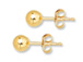 14K Gold-Filled 5mm Ball Post Earring  with Clutch, 2 Pcs