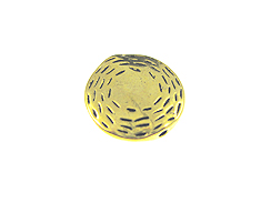 Antique Gold Plated Disc Pewter Bead