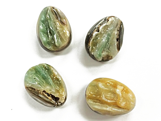 Faceted Tumbled Natural raw Abalone Beads