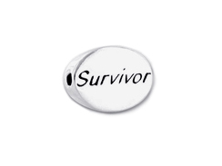 SSMB-Survivor