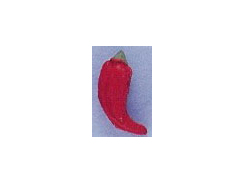 Chili Pepper - Teeny Tiny Peruvian Ceramic Bead 