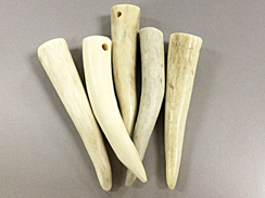 Naturally Shed Deer Antler Tip Pendant, 2.5 to 3 inch