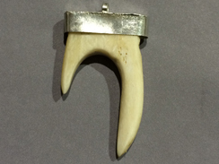 Bone Forked Pendants, Horn Tip pendants with Silver Tone Cap, 2.4", 61mm x 34mm, double horn pendants