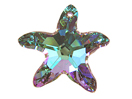6721 - Starfish